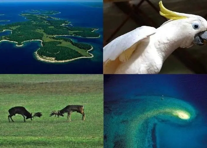 Grofica- Beheizter Pool- Taverne- Strandnaehe By Interhome *